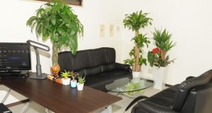 福岡の探偵 浮気調査ならクローバー探偵事務所