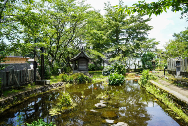 緑豊かな庭園と池