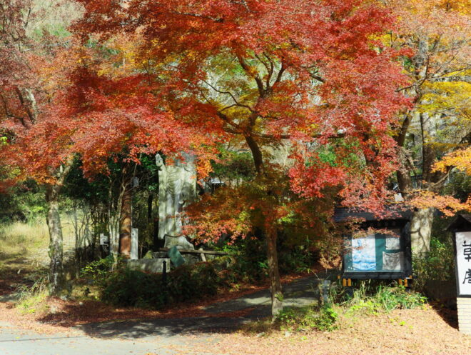 鮮やかな赤とオレンジに色づいた紅葉の木と、その奥に佇む石仏を捉えた秋の山里の風景。舗装路の上には電線が横切っている。